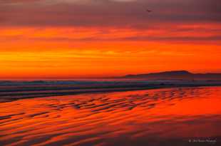 Evening at Ponto beach-9376.jpg Evening at Ponto beach-9376.jpg